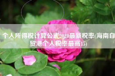 个人所得税计算公式2020最新税率(海南自贸港个人税率最高15)