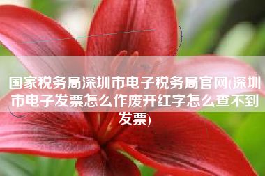 国家税务局深圳市电子税务局官网(深圳市电子发票怎么作废开红字怎么查不到发票)