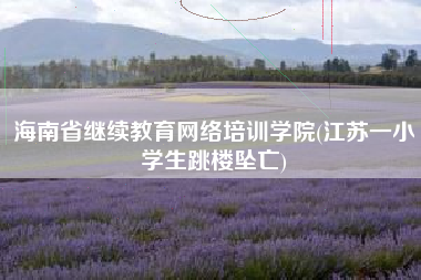 海南省继续教育网络培训学院(江苏一小学生跳楼坠亡)