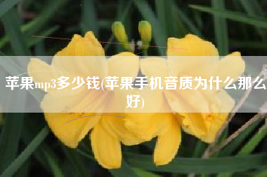 苹果mp3多少钱(苹果手机音质为什么那么好)