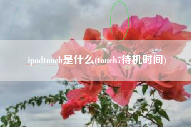 ipodtouch是什么(touch7待机时间)