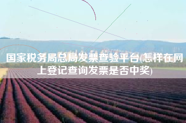 国家税务局总局发票查验平台(怎样在网上登记查询发票是否中奖)