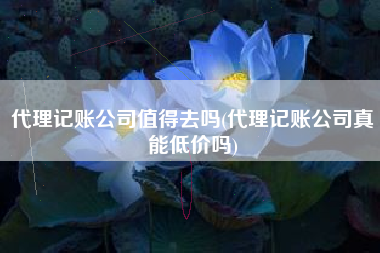 代理记账公司值得去吗(代理记账公司真能低价吗)