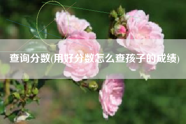 详细阅读:查询分数(用好分数怎么查孩子的成绩) 查询分数(用好分数怎么查孩子的成绩)