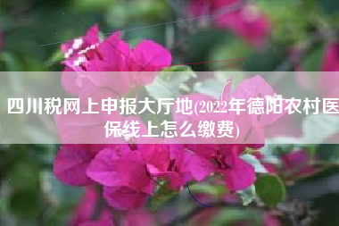 详细阅读:四川税网上申报大厅地(2022年德阳农村医保线上怎么缴费) 四川税网上申报大厅地(2022年德阳农村医保线上怎么缴费)
