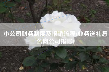 详细阅读:小公司财务制度及报销流程(业务送礼怎么向公司报账) 小公司财务制度及报销流程(业务送礼怎么向公司报账)