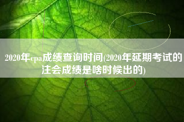 详细阅读:2020年cpa成绩查询时间(2020年延期考试的注会成绩是啥时候出的) 2020年cpa成绩查询时间(2020年延期考试的注会成绩是啥时候出的)
