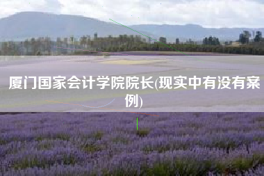 详细阅读:厦门国家会计学院院长(现实中有没有案例) 厦门国家会计学院院长(现实中有没有案例)