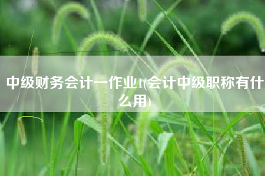 中级财务会计一作业1(会计中级职称有什么用)