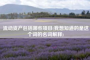流动资产包括哪些项目(我想知道的是这个词的名词解释)
