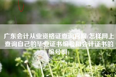 广东会计从业资格证查询官网(怎样网上查询自己的毕业证书编号和会计证书的编号啊)