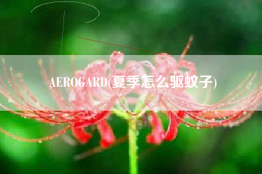 AEROGARD(夏季怎么驱蚊子)