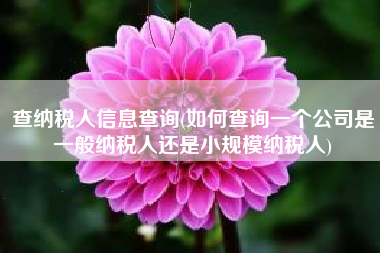 查纳税人信息查询(如何查询一个公司是一般纳税人还是小规模纳税人)