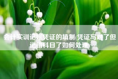 会计实训记账凭证的填制(凭证写对了但记错科目了如何处理)