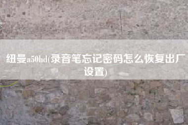 纽曼a50hd(录音笔忘记密码怎么恢复出厂设置)