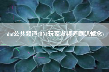 详细阅读:dnf公共频道(DNF玩家发频道喇叭悼念) dnf公共频道(DNF玩家发频道喇叭悼念)