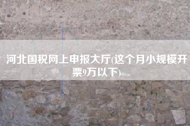 详细阅读:河北国税网上申报大厅(这个月小规模开票9万以下) 河北国税网上申报大厅(这个月小规模开票9万以下)