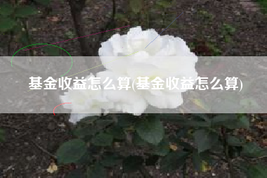 详细阅读:基金收益怎么算(基金收益怎么算) 基金收益怎么算(基金收益怎么算)