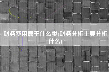 详细阅读:财务费用属于什么类(财务分析主要分析什么) 财务费用属于什么类(财务分析主要分析什么)