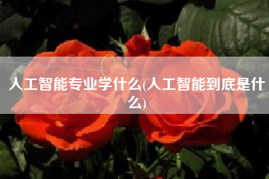 详细阅读:人工智能专业学什么(人工智能到底是什么) 人工智能专业学什么(人工智能到底是什么)