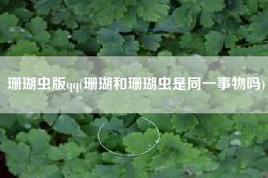 详细阅读:珊瑚虫版qq(珊瑚和珊瑚虫是同一事物吗) 珊瑚虫版qq(珊瑚和珊瑚虫是同一事物吗)