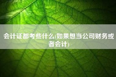 详细阅读:会计证都考些什么(如果想当公司财务或者会计) 会计证都考些什么(如果想当公司财务或者会计)