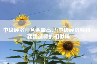 详细阅读:中级经济师含金量高吗(中级经济师和一建建造师的相似吗) 中级经济师含金量高吗(中级经济师和一建建造师的相似吗)