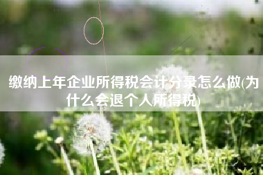 详细阅读:缴纳上年企业所得税会计分录怎么做(为什么会退个人所得税) 缴纳上年企业所得税会计分录怎么做(为什么会退个人所得税)