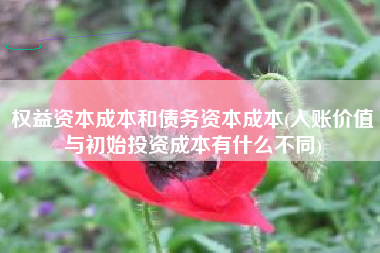 权益资本成本和债务资本成本(入账价值与初始投资成本有什么不同)