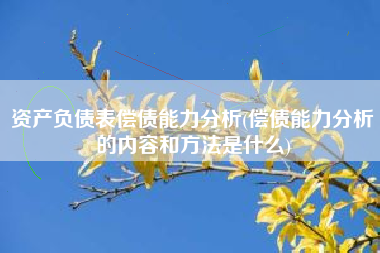 资产负债表偿债能力分析(偿债能力分析的内容和方法是什么)