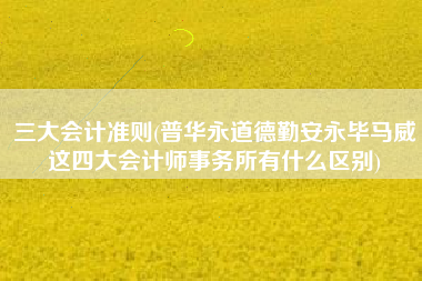 三大会计准则(普华永道德勤安永毕马威这四大会计师事务所有什么区别)