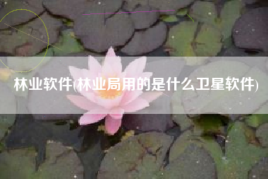 林业软件(林业局用的是什么卫星软件)