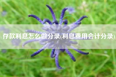 存款利息怎么做分录(利息费用会计分录)