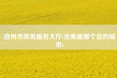 沧州市政务服务大厅(沧衡是哪个省的城市)