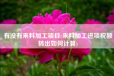 有没有来料加工项目(来料加工进项税额转出如何计算)