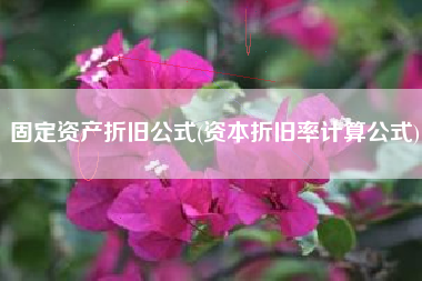 固定资产折旧公式(资本折旧率计算公式)