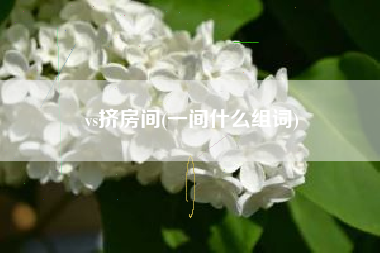 vs挤房间(一间什么组词)