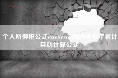 个人所得税公式excel(excel利润表本年累计自动计算公式)