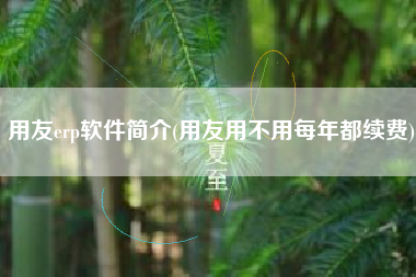 用友erp软件简介(用友用不用每年都续费)