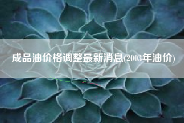 成品油价格调整最新消息(2003年油价)