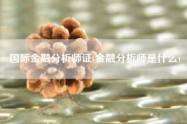 国际金融分析师证(金融分析师是什么)