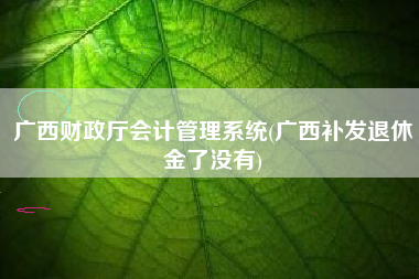广西财政厅会计管理系统(广西补发退休金了没有)