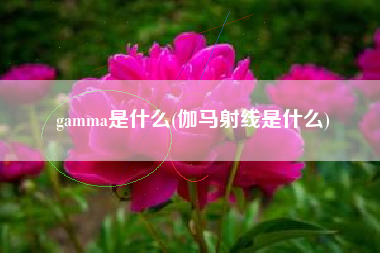 gamma是什么(伽马射线是什么)