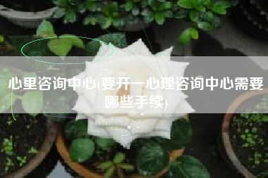 心里咨询中心(要开一心理咨询中心需要哪些手续)