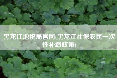 黑龙江地税局官网(黑龙江社保农民一次性补缴政策)