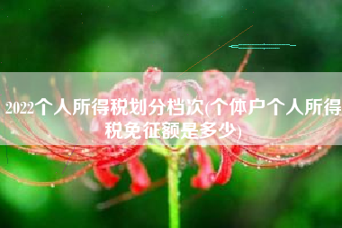 2022个人所得税划分档次(个体户个人所得税免征额是多少)