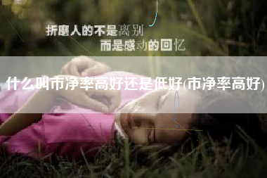 什么叫市净率高好还是低好(市净率高好)