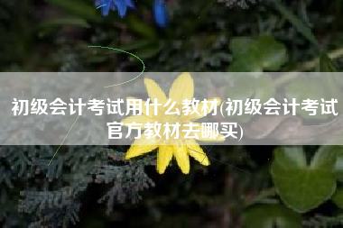 初级会计考试用什么教材(初级会计考试官方教材去哪买)