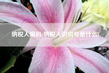 纳税人编码(纳税人识别号是什么)