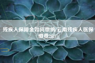 残疾人保障金如何缴纳(云南残疾人医保缴费2021)